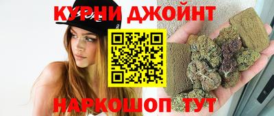 дмт Гай