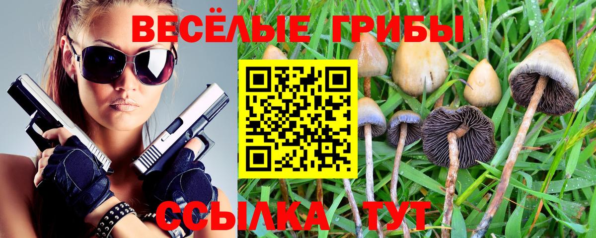 Галлюциногенные грибы мухоморы Менделеевск
