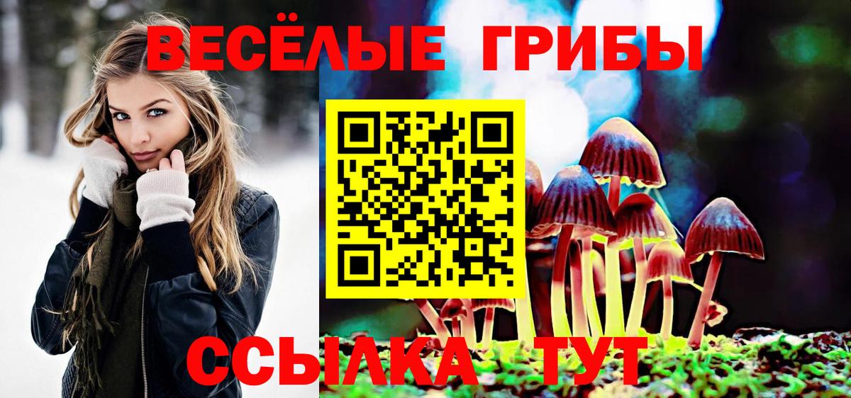 Галлюциногенные грибы Psilocybe  Вход с VPN  Менделеевск 